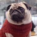 Commercials
