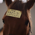 Commercials